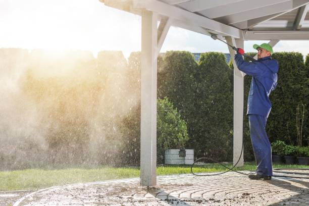 Best Oil Spill Cleanup  in San Antonio, FL