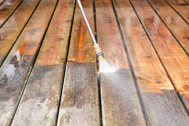 Solar Panel Cleaning in San Antonio, FL